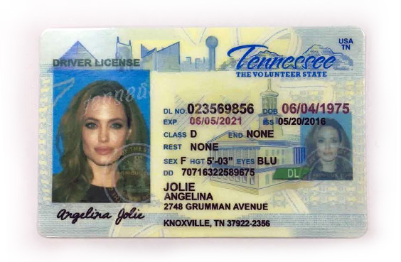 Fake Driving License - Tennessee