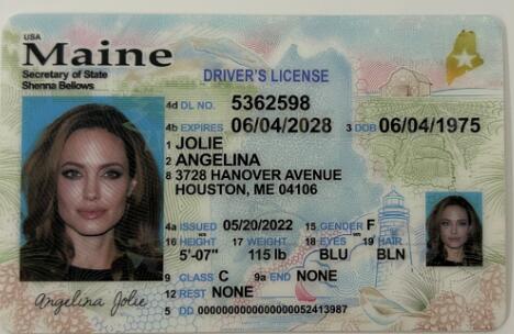 Fake Driving License - Maine