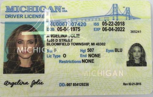 Fake Driving License - Michigan