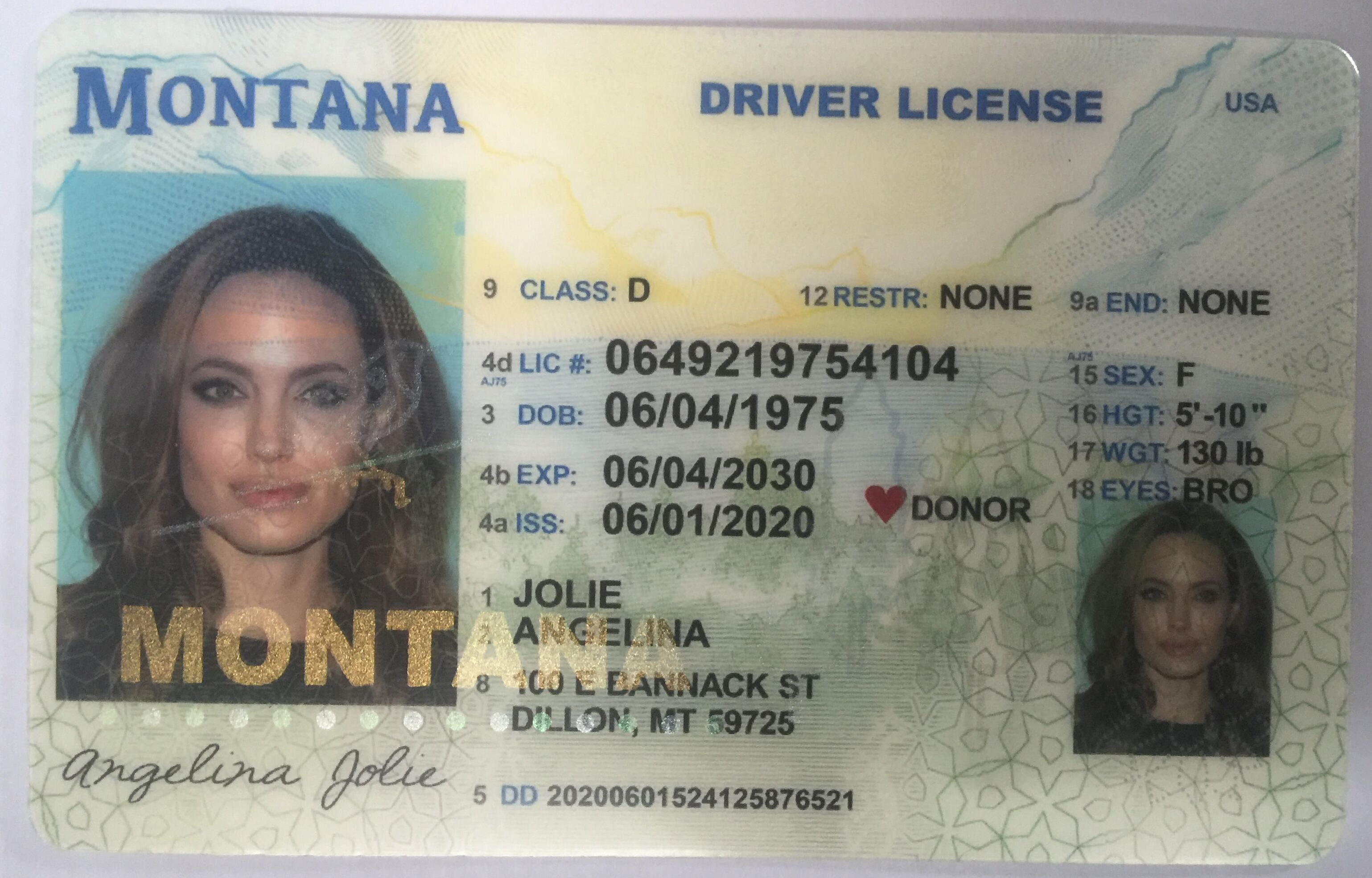 Fake Driving License - Montana