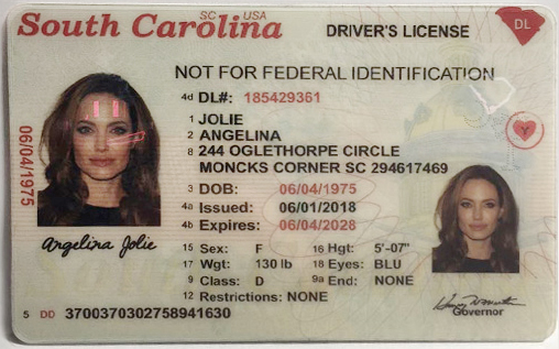 Fake Driving License - South Carolina