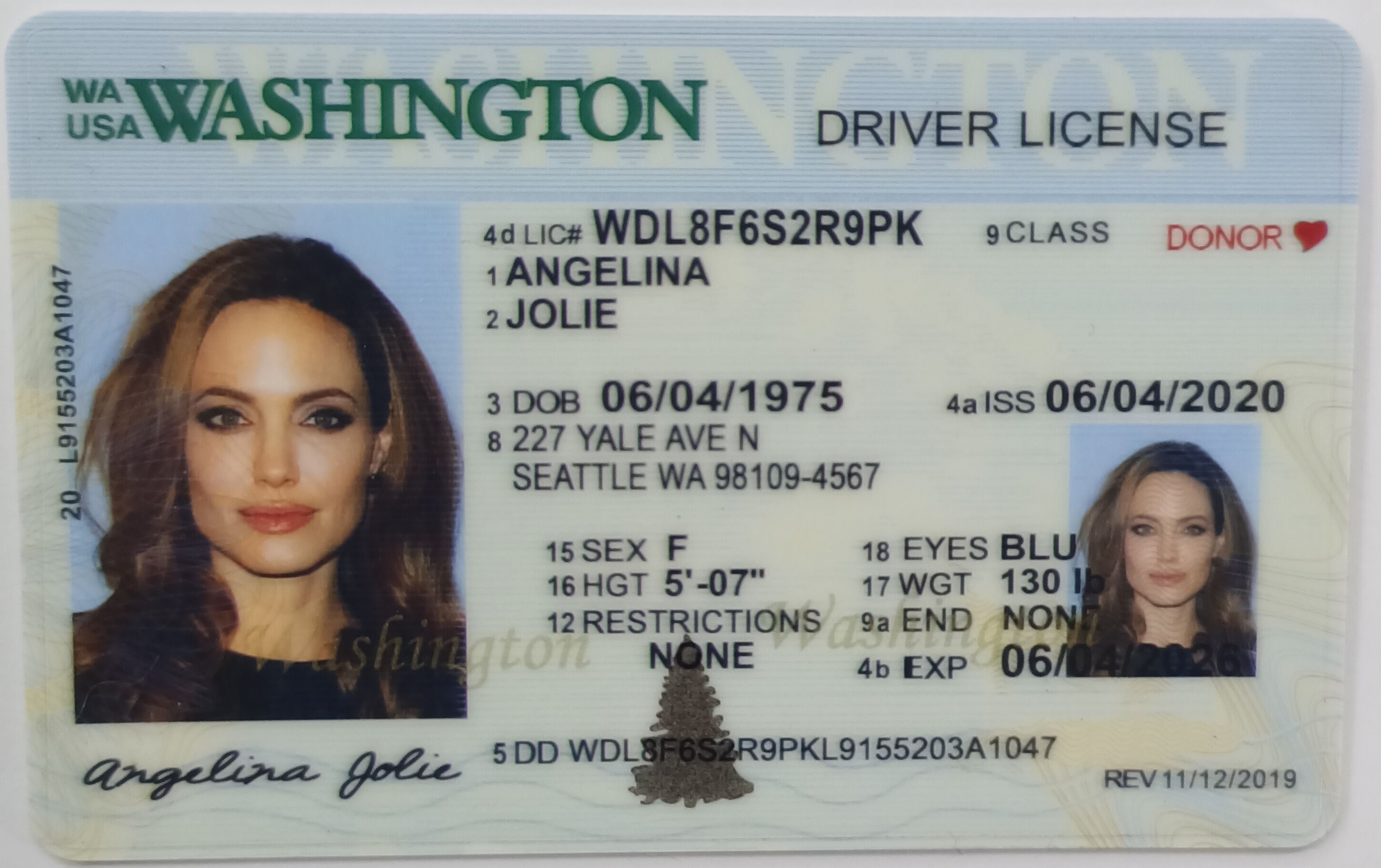 Fake Driving License - Washington 