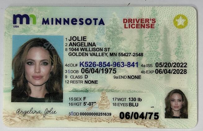 Fake Driving License - Minnesota